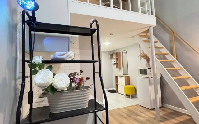 Апартаменты Двухуровневые Purple у Метро Бауманская