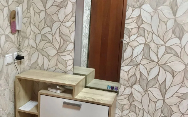 Domashniy Uyut V Tsentre Goroda Flat