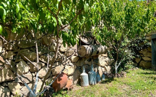 Igor B&B Guest House