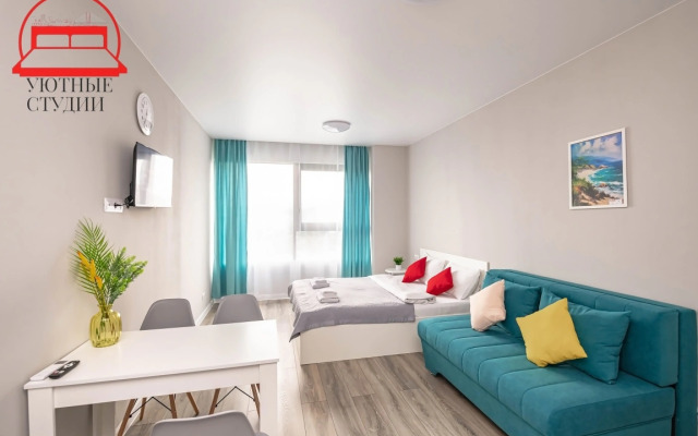Uyutnaya studiya 2 na Strelkovoj Flat