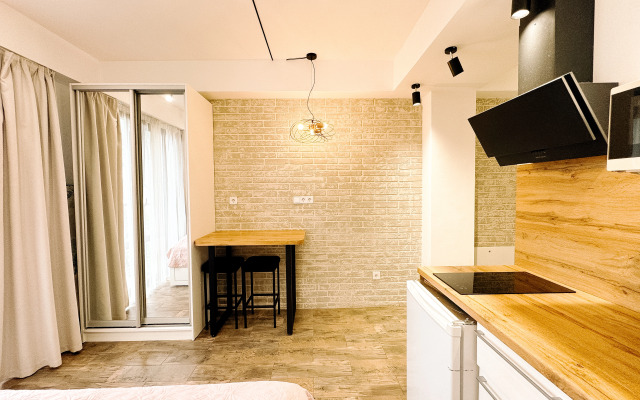 Studiya 14 s vidom na gory Flat