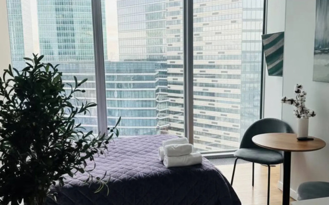 Апартаменты с видом на башни Москва-Сити 32_3