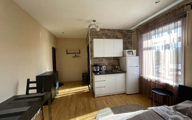 Studiya V Tsentre Goroda U Ploschadi Flat
