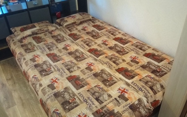 One-room RusDom  in the city center Apartments
