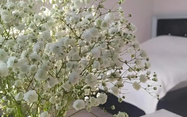 Апартаменты на улице Королева