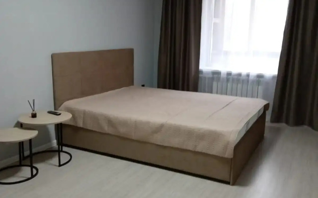 Novaya Dvushka Tsentr Apartments