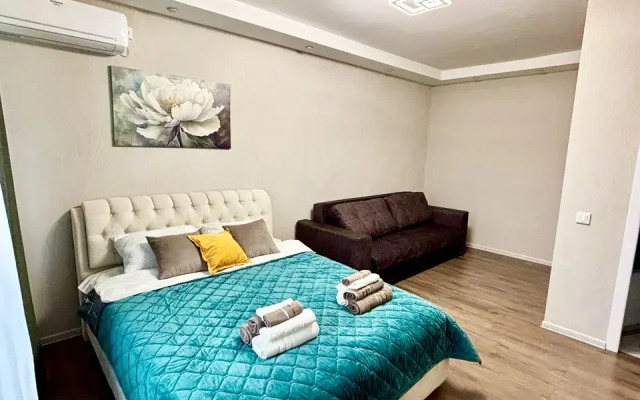 Квартира Просторная однокомнатная квартира