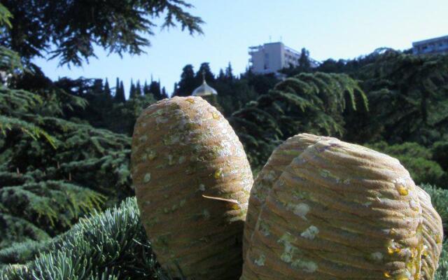 Апартаменты 4 У Приморского Парка