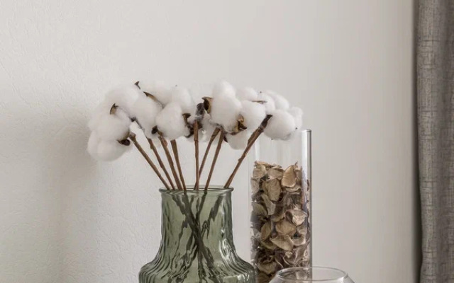 Апартаменты Виола Studio Apartamia