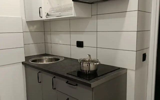 Апартаменты Важная Птица Два Двухкомнатные