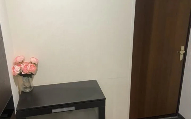 Квартира на Улице Льва Толстого 13