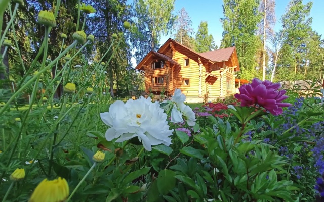 Гостевой Дом Вырицкий Мамонт
