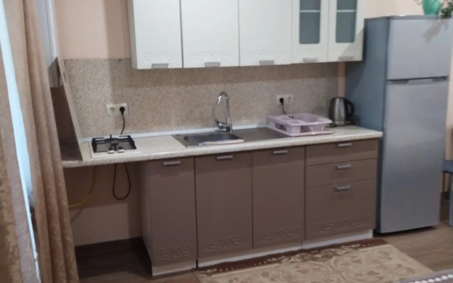 Studiya 38 M2 utopayuschiy v Zeleni Private House