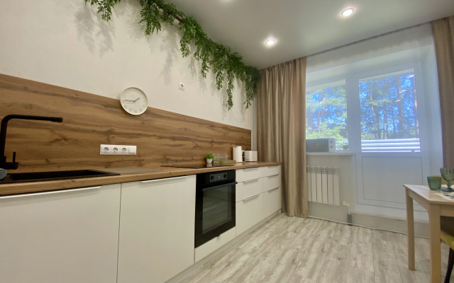 U Morya S Vidom Na Sosnovy Bor Apartments