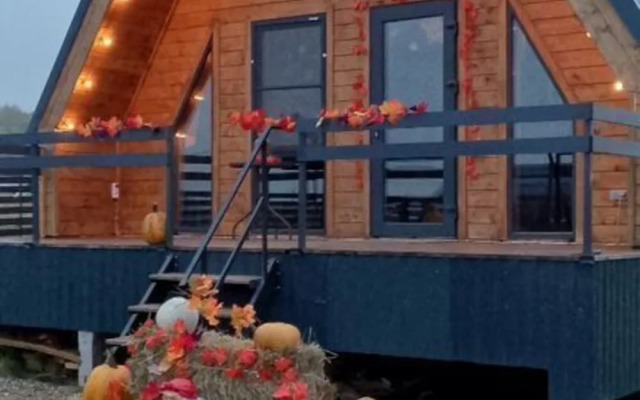 Частный дом на Каштановой 218