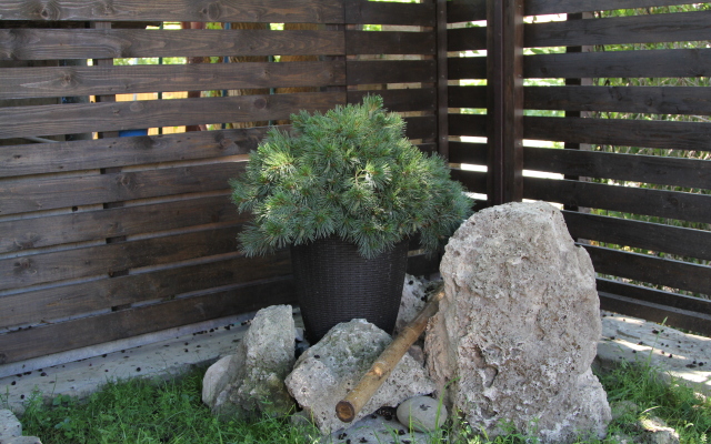 Aksis House Private House