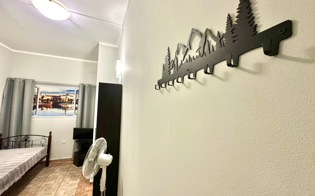 Жилое помещение бюджетное на Рубинштейна 4