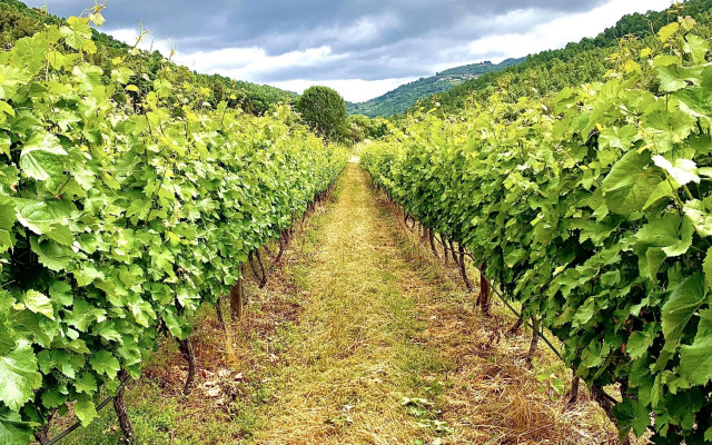 Мини-Отель Casa Grande do Seixo