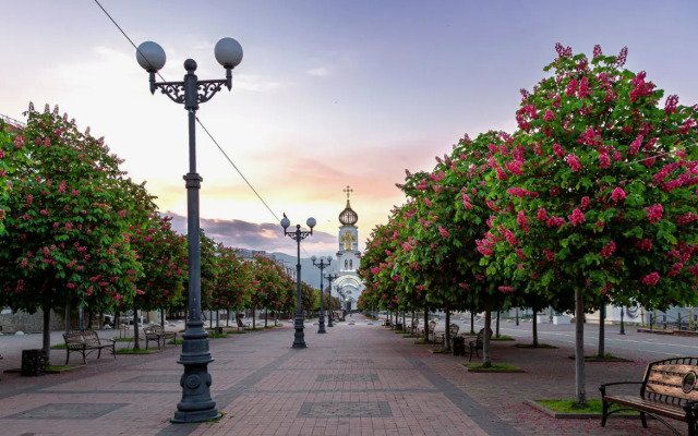 Апартаменты Мильфей 21-5