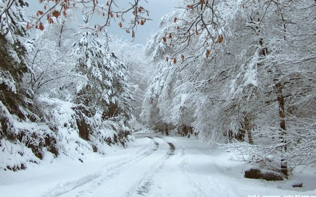 Гостевой Дом Agrinho Residences Gerês