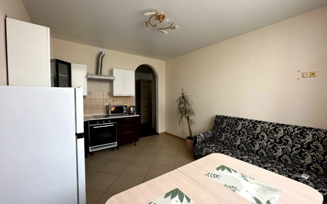 Квартира на Салмышской