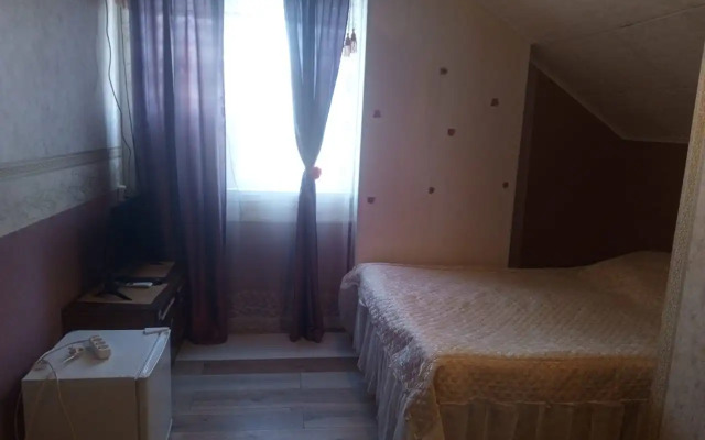 Na Tolstogo 13 Guest House
