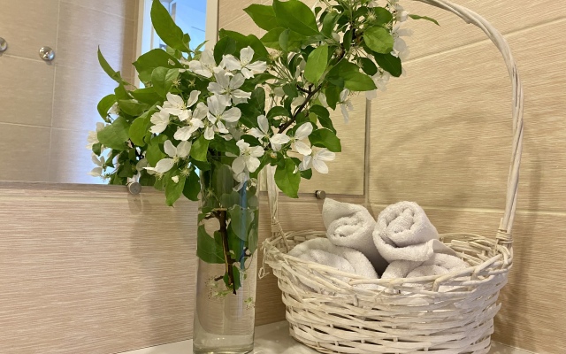 Hygge Karelia s prekrasnym vidom na ozero Apartments