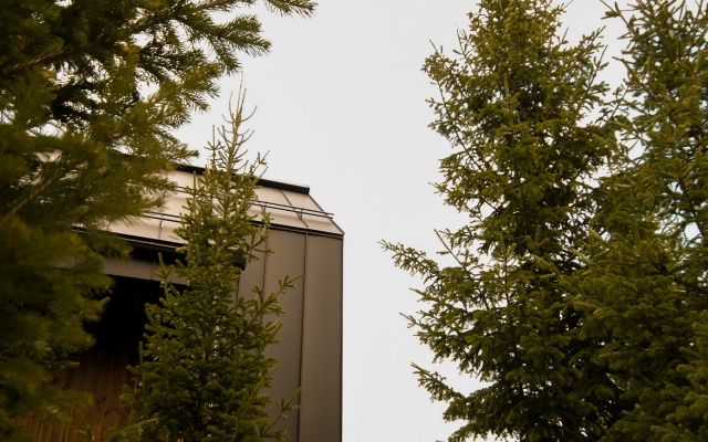 Частный дом Леонов