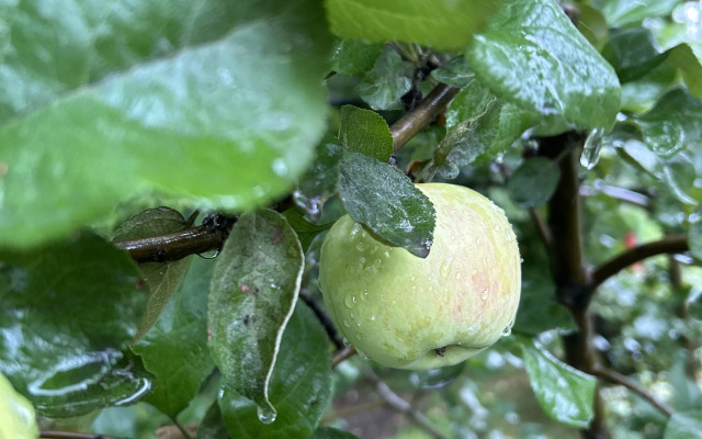 Отель Изумруд