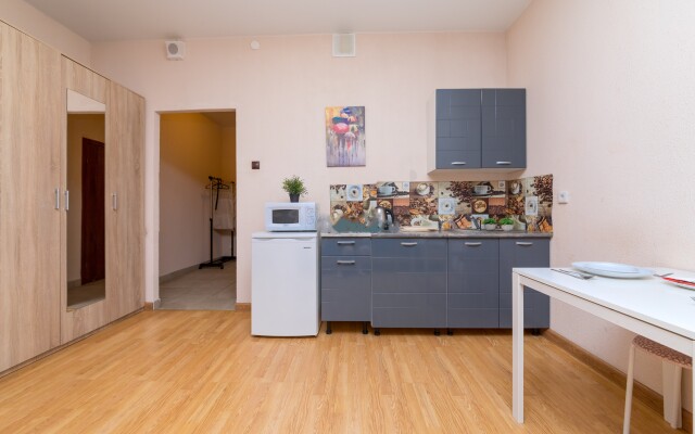 Апартаменты в центре Екатеринбурга на Белинского 30 (678)