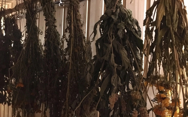 Гостевой дом Елки-палки