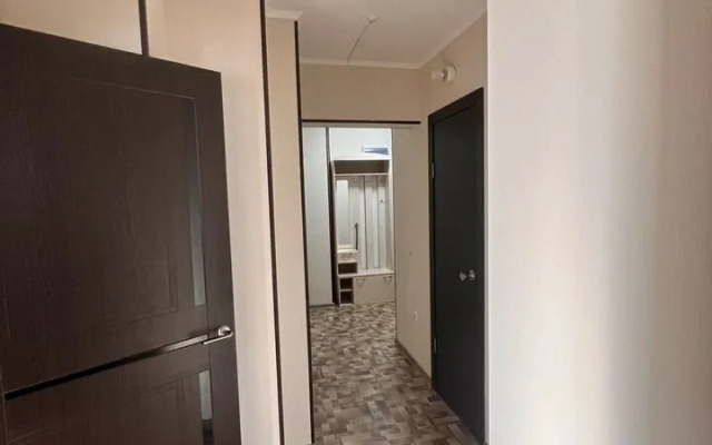 Апартаменты 37 на улице Елизаровых 15/1