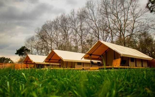 Кемпинг Малина Глэмпинг КОСА