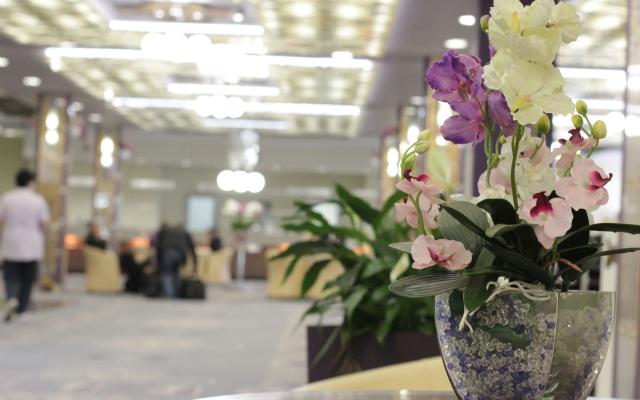 Aristokrat Oficial'nyj partnyor Otelya «Del'ta» Izmajlovo Hotel