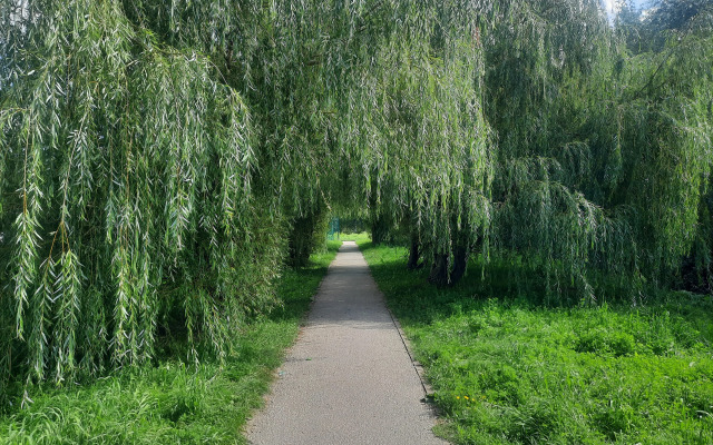 Квартира Уютная у метро Парк Культуры