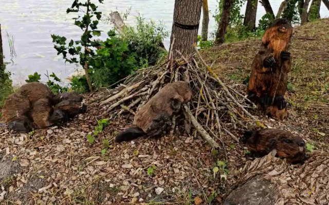 Гостевой дом Агроусадьба Яновский замок