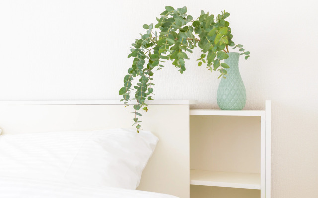 Апартаменты Поделам семейная рядом с Термы Юга Екатеринбург