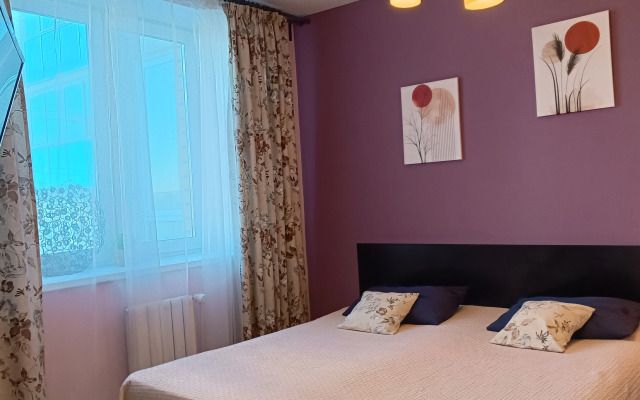 Апартаменты Библиотечная 45 #1