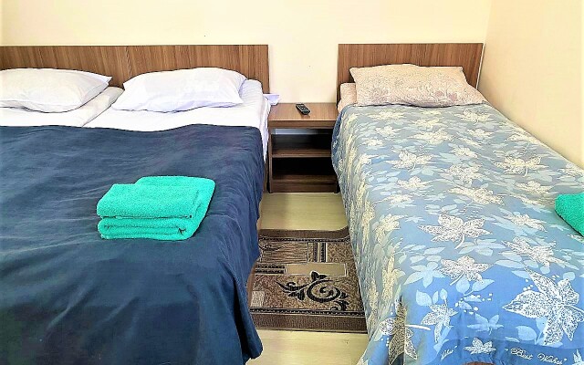 Irbis Guest house