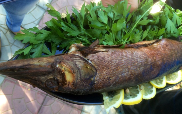 База отдыха Замок