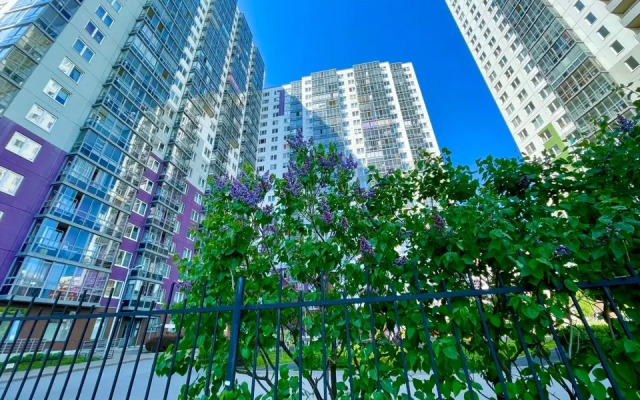 Rozovy Shokolad Apartments