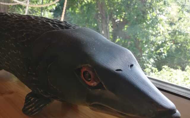 Гостевой дом Меличуярви Щука