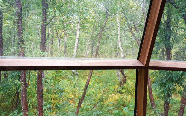 Cottages Goryachaya Sopka