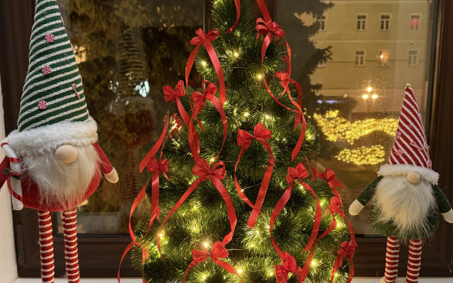 V Tsentre Goroda  S Vidom Na Peshehodnuyu Ulitsu Apartments