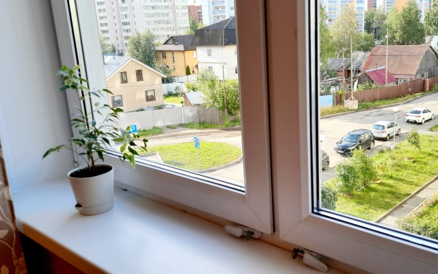 Yevrodvushka na Suvorova 27 Flat