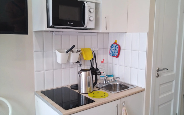 Studiya nedaleko ot Avrory Flat