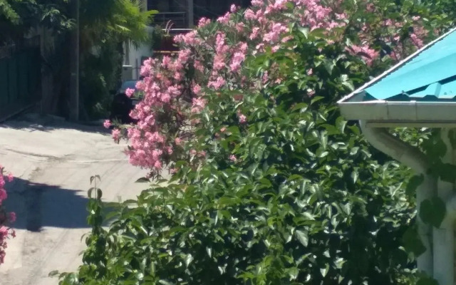 Pod Palmoy Guest House