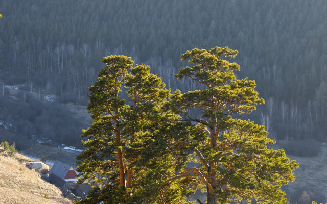 Гостевой дом Душа