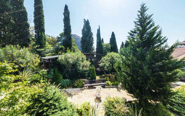Luxury v Tsentre Sochi Flat