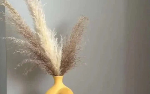 Uyutnaya Studiya v Shagovoy Blizosti k Moryu Flat